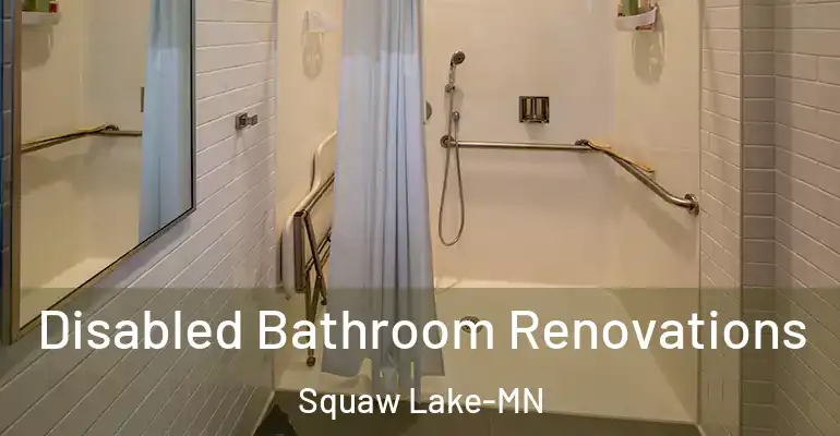 inner Bathroom imggen Disabled Bathroom Renovations Squaw Lake-MN