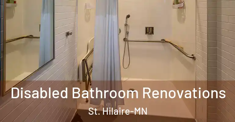 inner Bathroom imggen Disabled Bathroom Renovations St. Hilaire-MN