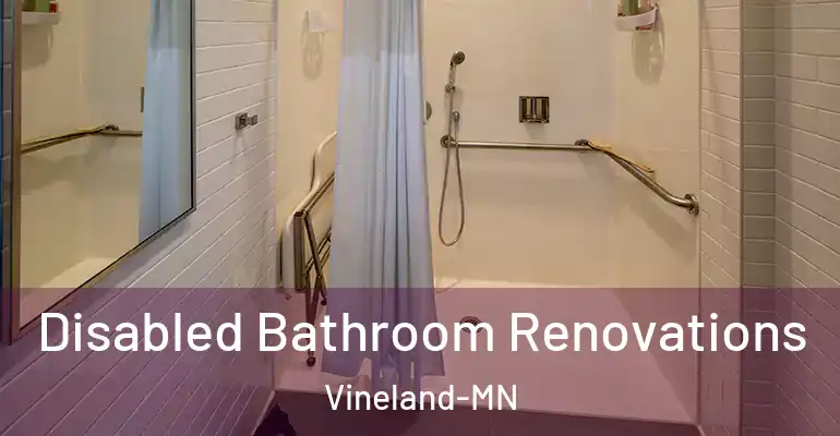 inner Bathroom imggen Disabled Bathroom Renovations Vineland-MN