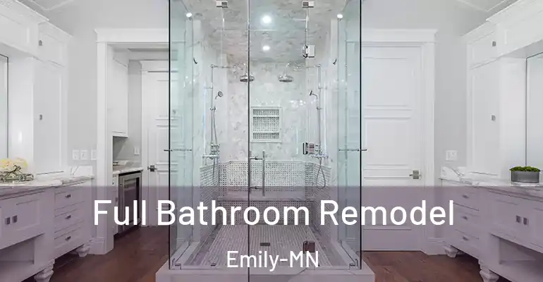 inner Bathroom imggen Full Bathroom Remodel Emily-MN