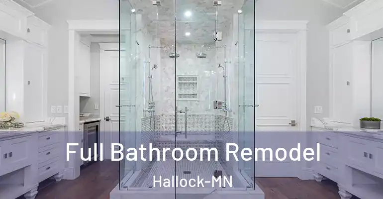 inner Bathroom imggen Full Bathroom Remodel Hallock-MN
