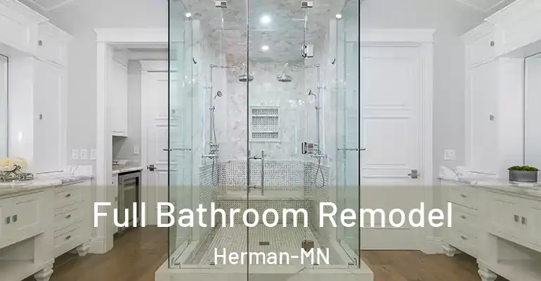 inner Bathroom imggen Full Bathroom Remodel Herman-MN