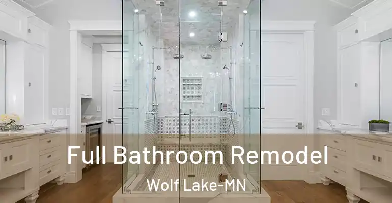 inner Bathroom imggen Full Bathroom Remodel Wolf Lake-MN