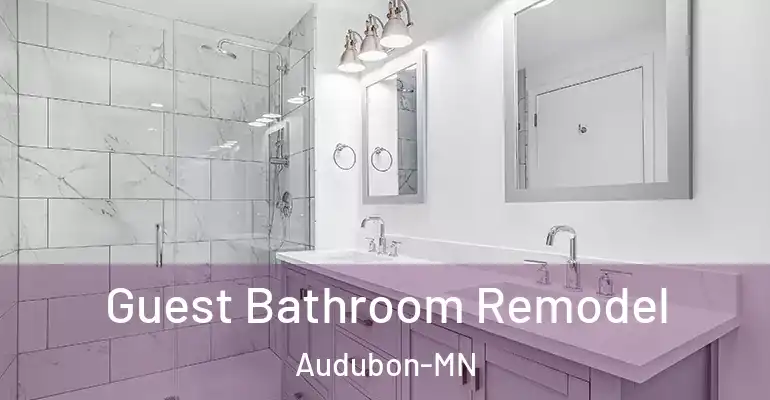 inner Bathroom imggen Guest Bathroom Remodel Audubon-MN