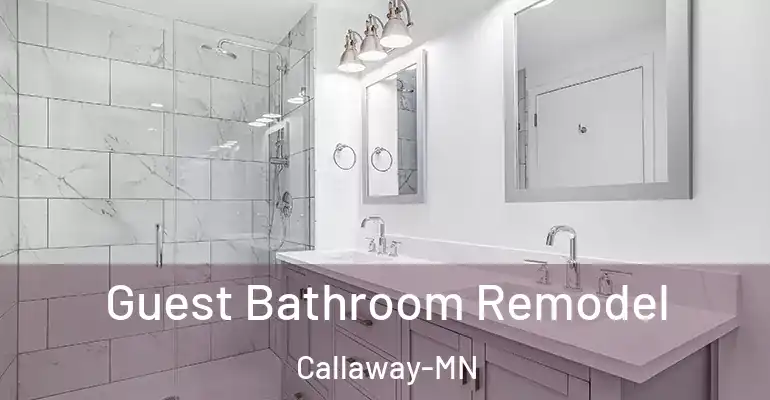inner Bathroom imggen Guest Bathroom Remodel Callaway-MN