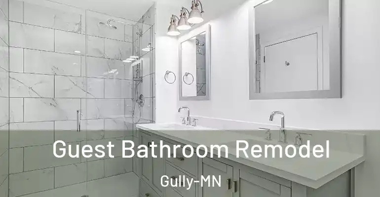 inner Bathroom imggen Guest Bathroom Remodel Gully-MN