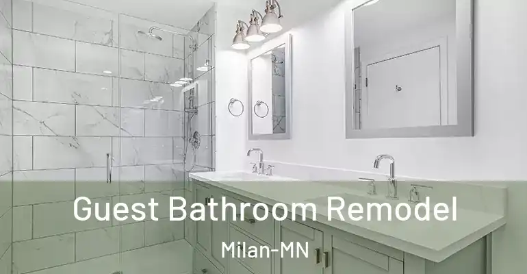 inner Bathroom imggen Guest Bathroom Remodel Milan-MN