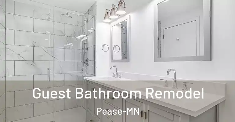 inner Bathroom imggen Guest Bathroom Remodel Pease-MN