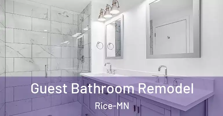 inner Bathroom imggen Guest Bathroom Remodel Rice-MN