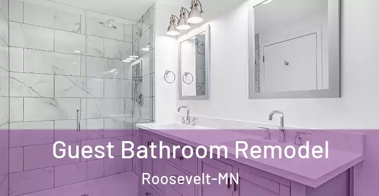inner Bathroom imggen Guest Bathroom Remodel Roosevelt-MN
