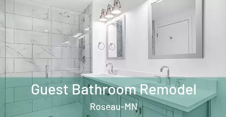 inner Bathroom imggen Guest Bathroom Remodel Roseau-MN
