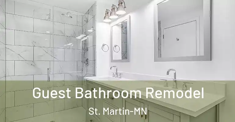 inner Bathroom imggen Guest Bathroom Remodel St. Martin-MN
