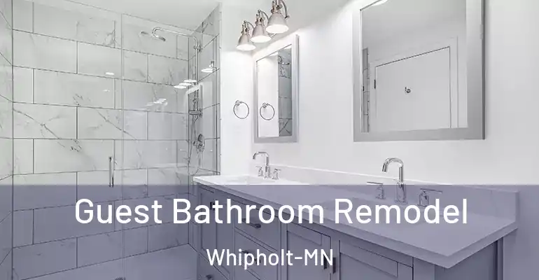 inner Bathroom imggen Guest Bathroom Remodel Whipholt-MN