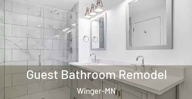 inner Bathroom imggen Guest Bathroom Remodel Winger-MN