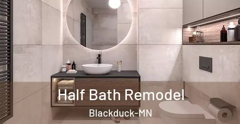 inner Bathroom imggen Half Bath Remodel Blackduck-MN