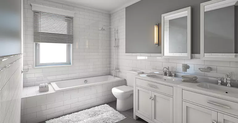 Bathroom Remodel Bathtub in Freeport, MN