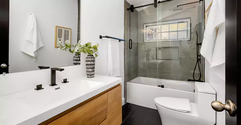 Tub to Shower Renovation in Freeport