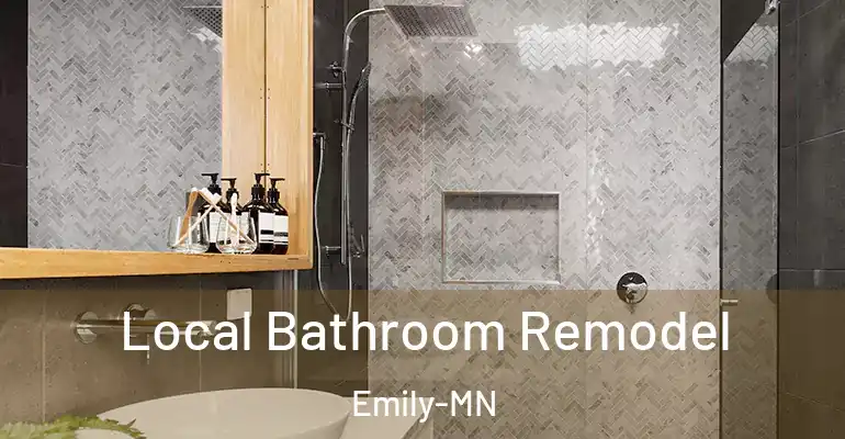 inner Bathroom imggen Local Bathroom Remodel Emily-MN