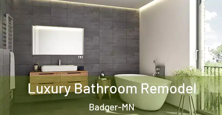 inner Bathroom imggen Luxury Bathroom Remodel Badger-MN