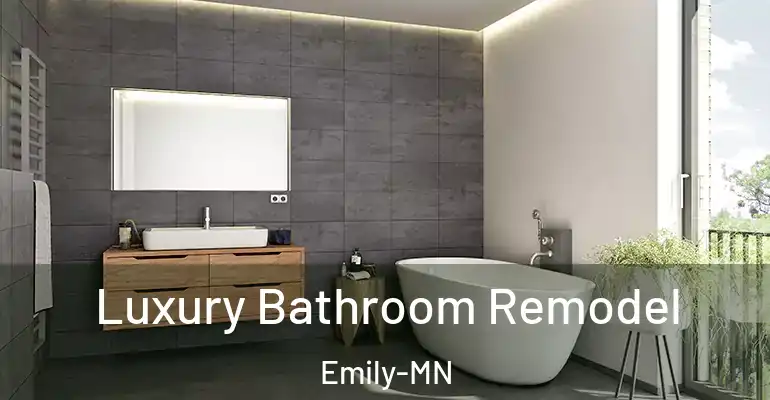 inner Bathroom imggen Luxury Bathroom Remodel Emily-MN