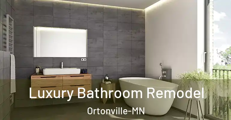 inner Bathroom imggen Luxury Bathroom Remodel Ortonville-MN