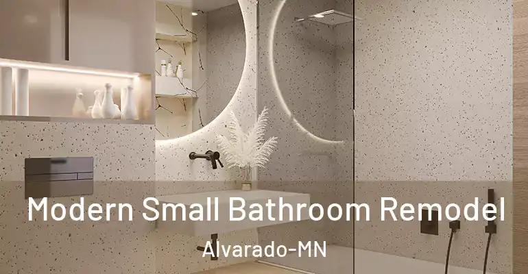 inner Bathroom imggen Modern Small Bathroom Remodel Alvarado-MN