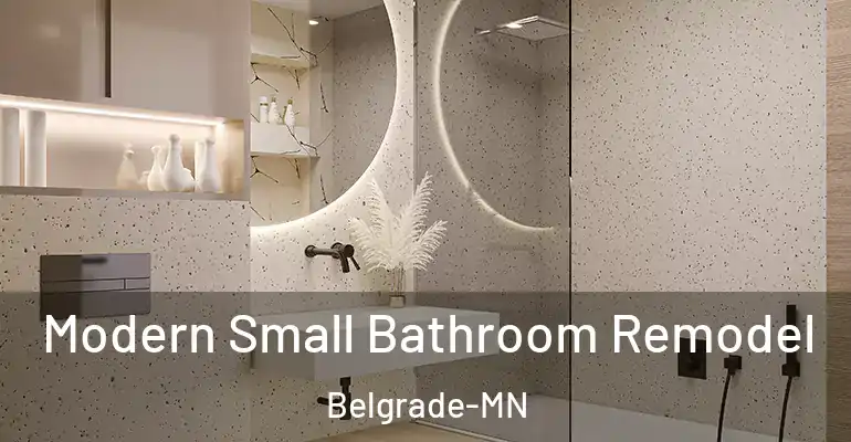 inner Bathroom imggen Modern Small Bathroom Remodel Belgrade-MN