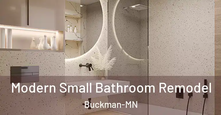 inner Bathroom imggen Modern Small Bathroom Remodel Buckman-MN