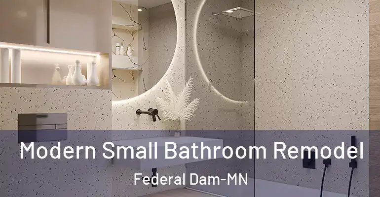 inner Bathroom imggen Modern Small Bathroom Remodel Federal Dam-MN