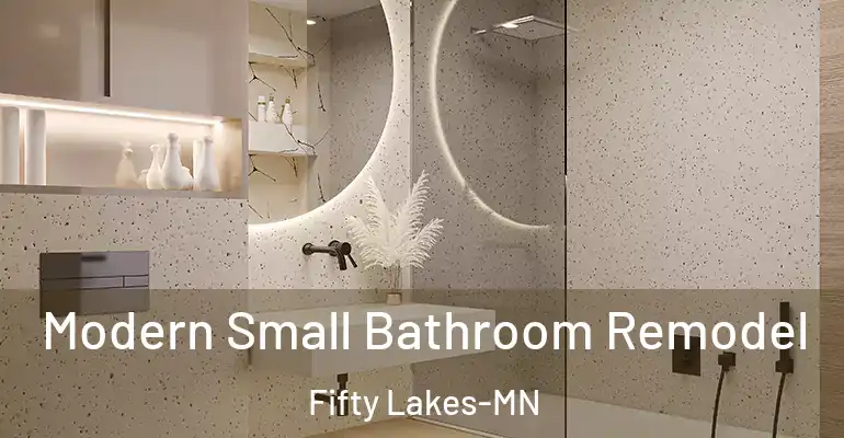 inner Bathroom imggen Modern Small Bathroom Remodel Fifty Lakes-MN