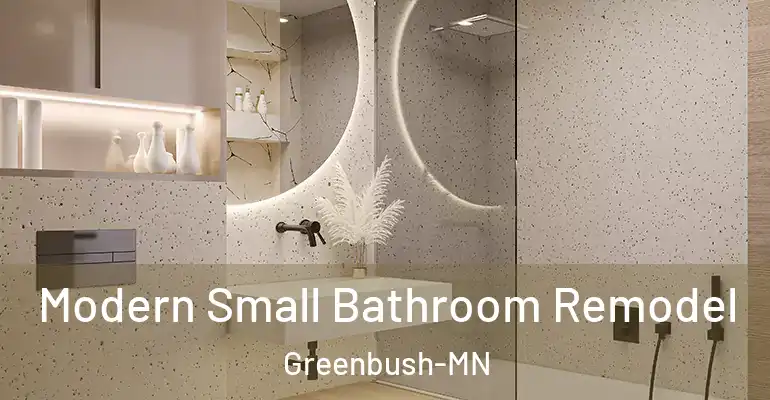 inner Bathroom imggen Modern Small Bathroom Remodel Greenbush-MN