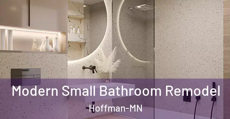 inner Bathroom imggen Modern Small Bathroom Remodel Hoffman-MN