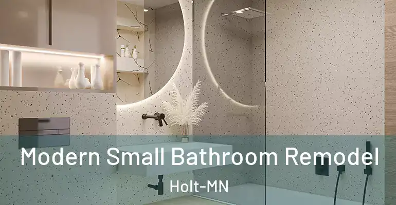 inner Bathroom imggen Modern Small Bathroom Remodel Holt-MN
