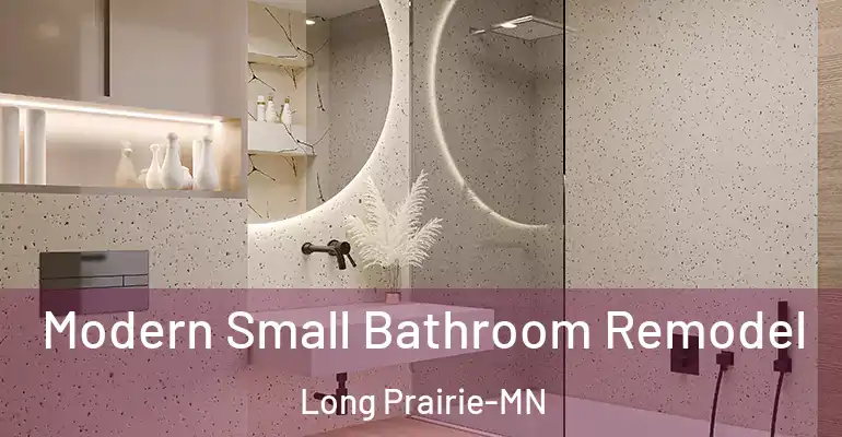 inner Bathroom imggen Modern Small Bathroom Remodel Long Prairie-MN