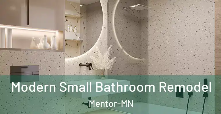 inner Bathroom imggen Modern Small Bathroom Remodel Mentor-MN