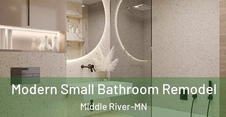 inner Bathroom imggen Modern Small Bathroom Remodel Middle River-MN