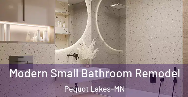 inner Bathroom imggen Modern Small Bathroom Remodel Pequot Lakes-MN