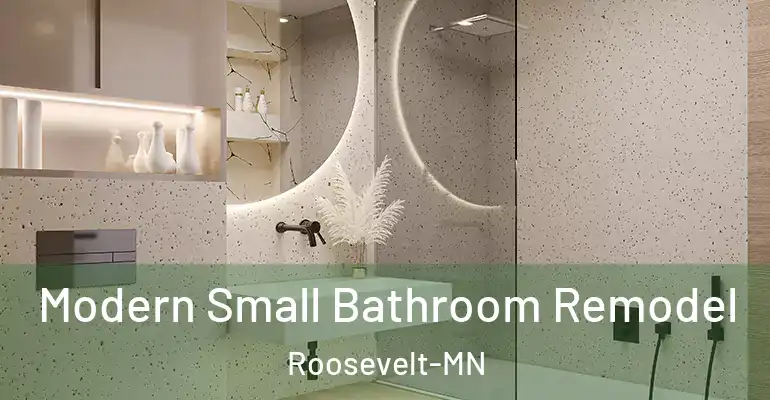 inner Bathroom imggen Modern Small Bathroom Remodel Roosevelt-MN