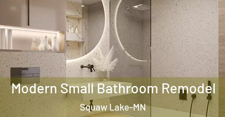 inner Bathroom imggen Modern Small Bathroom Remodel Squaw Lake-MN