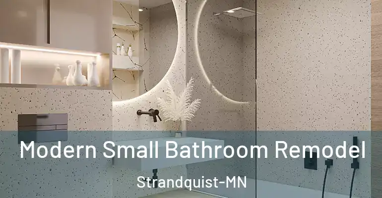 inner Bathroom imggen Modern Small Bathroom Remodel Strandquist-MN