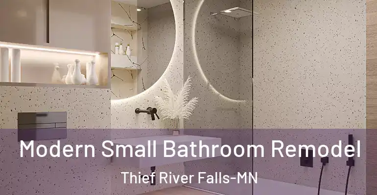 inner Bathroom imggen Modern Small Bathroom Remodel Thief River Falls-MN
