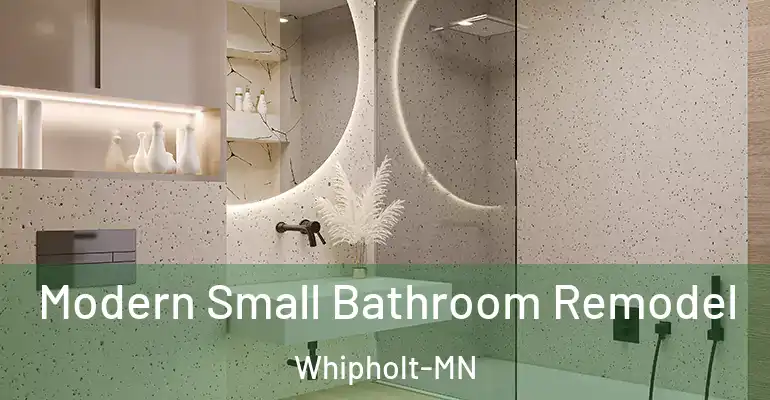 inner Bathroom imggen Modern Small Bathroom Remodel Whipholt-MN