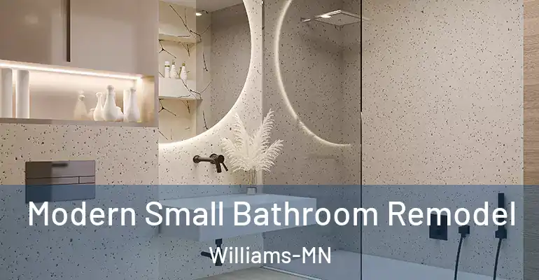 inner Bathroom imggen Modern Small Bathroom Remodel Williams-MN