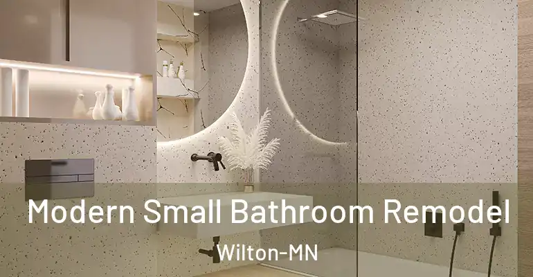 inner Bathroom imggen Modern Small Bathroom Remodel Wilton-MN