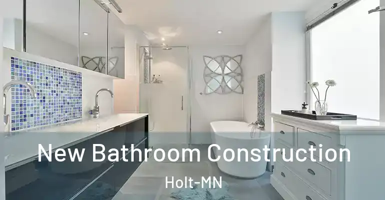 inner Bathroom imggen New Bathroom Construction Holt-MN