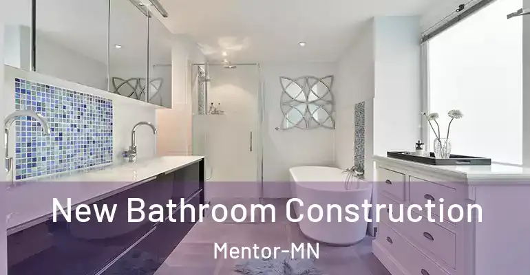 inner Bathroom imggen New Bathroom Construction Mentor-MN
