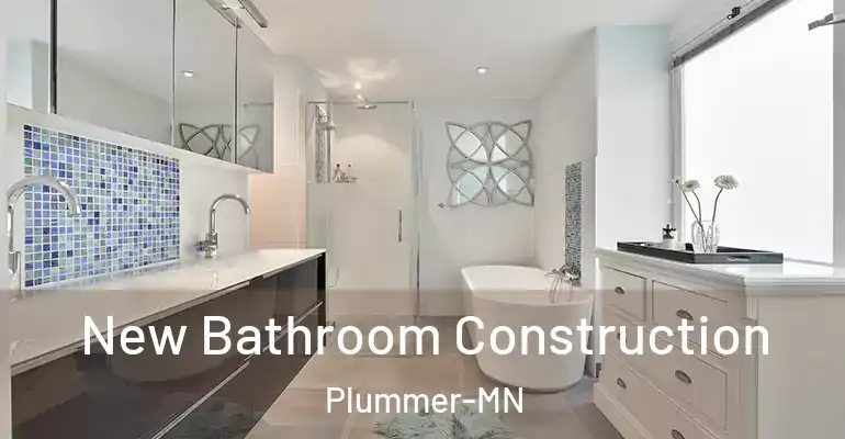 inner Bathroom imggen New Bathroom Construction Plummer-MN