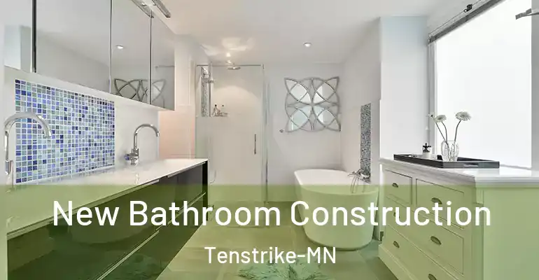 inner Bathroom imggen New Bathroom Construction Tenstrike-MN