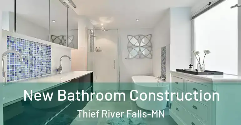 inner Bathroom imggen New Bathroom Construction Thief River Falls-MN