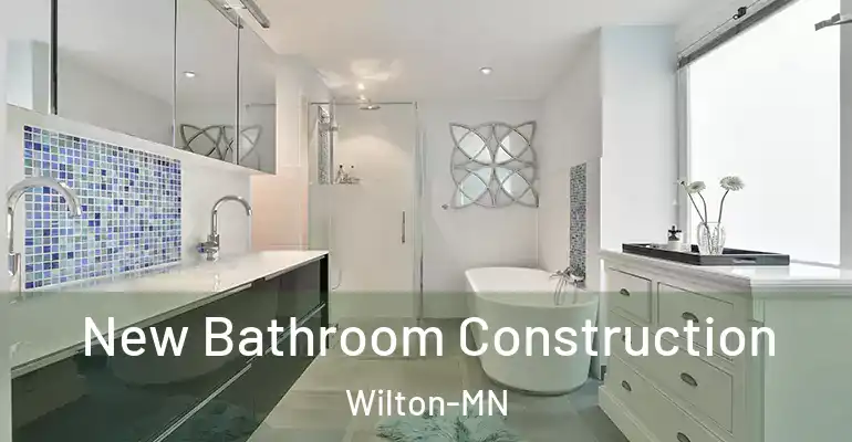 inner Bathroom imggen New Bathroom Construction Wilton-MN